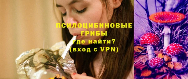 меф Медвежьегорск
