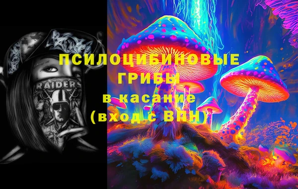 меф Медвежьегорск