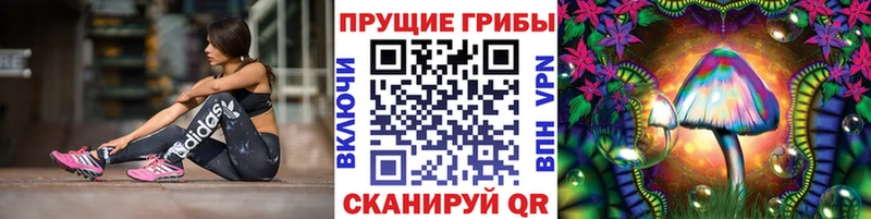 Псилоцибиновые грибы Psilocybine cubensis  Жуков 