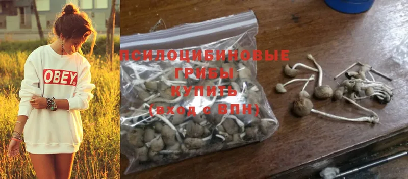 Галлюциногенные грибы Psilocybine cubensis  цены наркотик  Жуков 